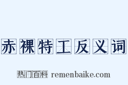 赤裸特工反义词是什么意思的图片
